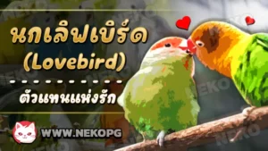 นกเลิฟเบิร์ด