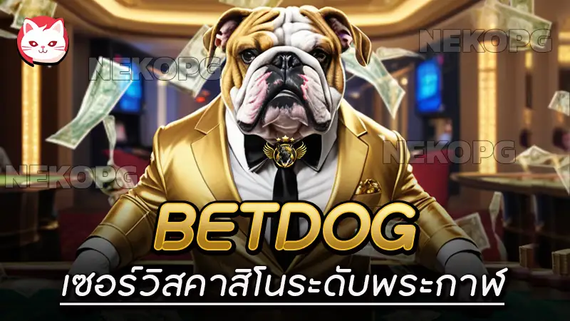 betdog