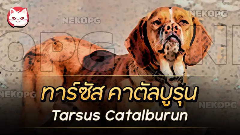 สุนัขสายพันธุ์ ทาร์ซัส คาตัลบูรุน (Tarsus Catalburun) นักล่าจากตุรกี