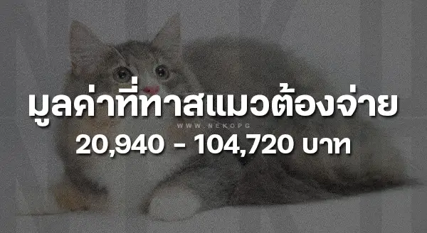 นอร์วีเจียนฟอเรสต์