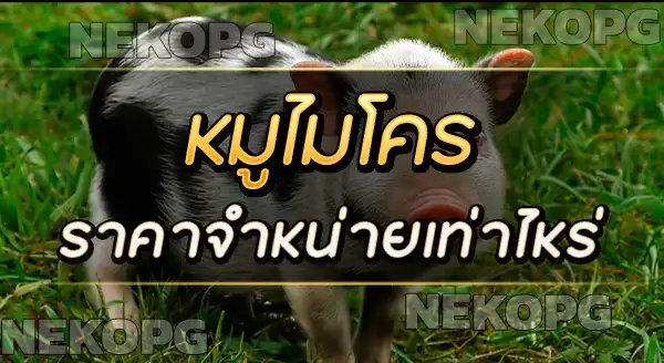 หมูไมโคร