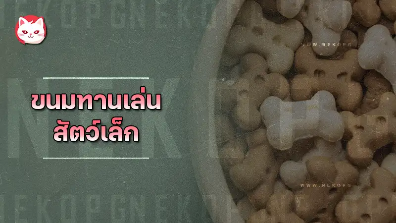 ขนมทานเล่นสัตว์เล็ก