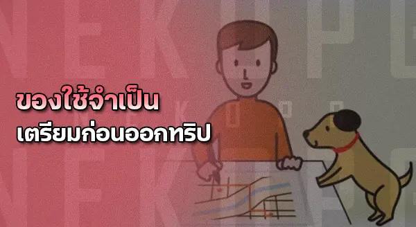 ของใช้สัตว์เล็ก