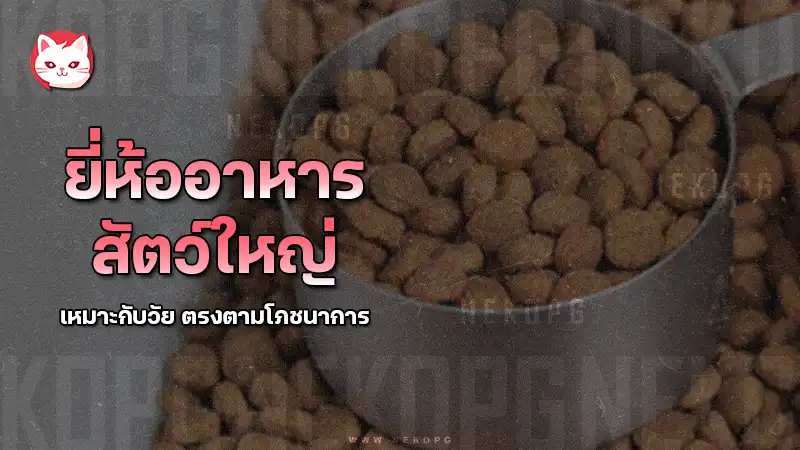 ยี่ห้ออาหารสัตว์ใหญ่