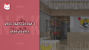 สถานที่รักษาสัตว์เล็ก